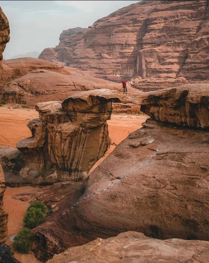 Rehana Rum Camp Wadi Rum Eksteriør billede